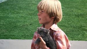 Para Matar Un Ángel