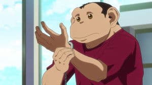 ¿Una guerra por los derechos?