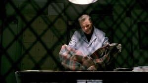 Sexo, mentiras y larvas