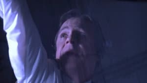 La vaca de la señora O'Leary