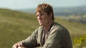 El caballero errante