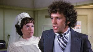 Demasiado caliente para manejar / Reunión familiar / Historia de Cenicienta