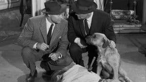 El caso del diario del bañista solar