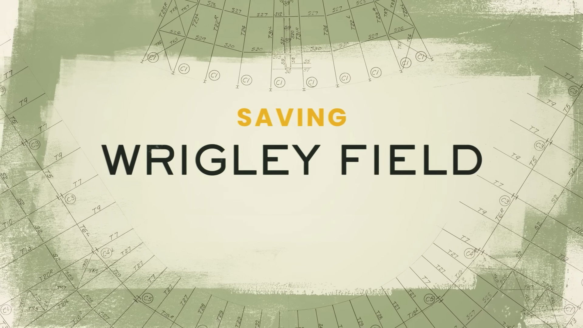 Saving Wrigley Field