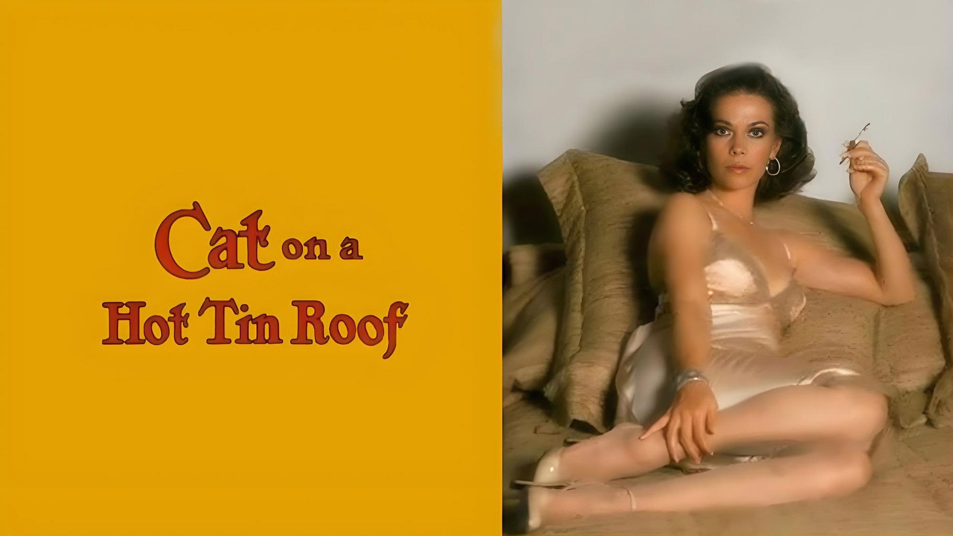 Cat on a Hot Tin Roof