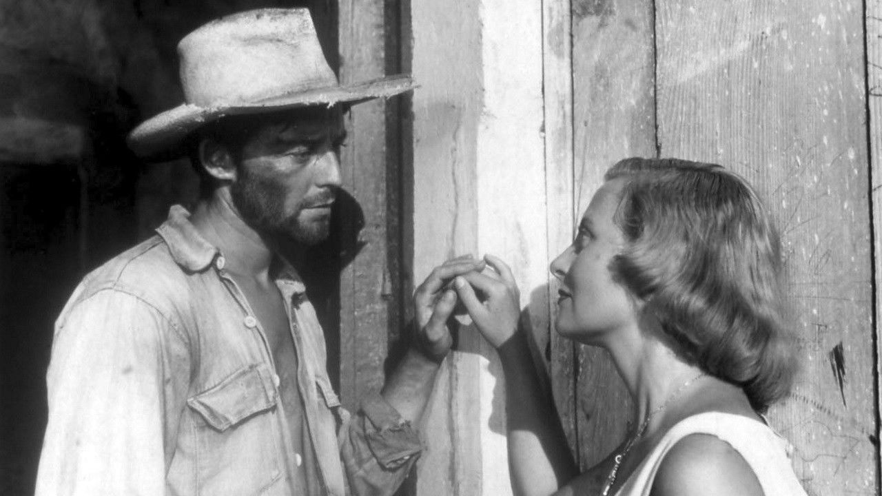 The Proud and the Beautiful