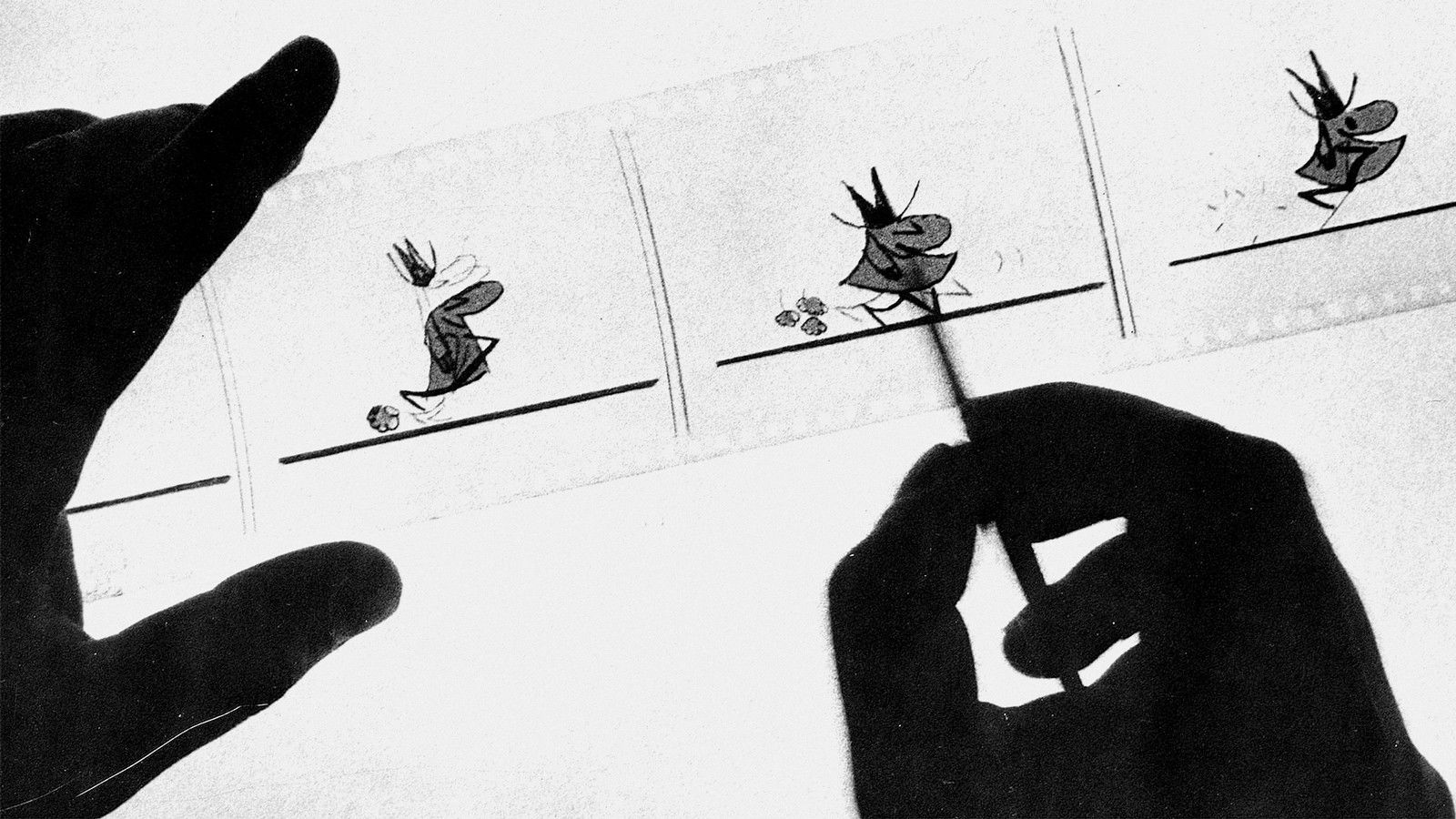 The Animograph, or I Was Born in a Shoebox