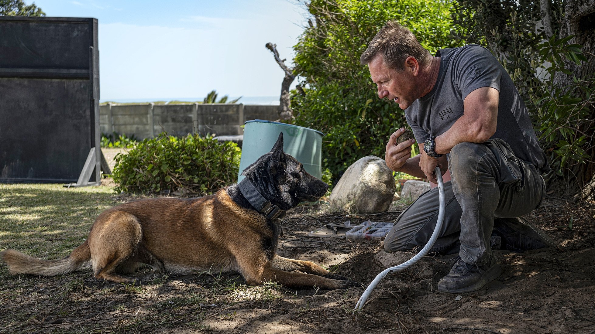 Muzzle: City of Wolves