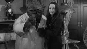 Morticia se une a la Liga de Damas