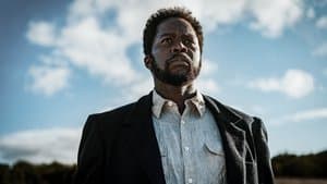 El largo viaje del día hacia la noche