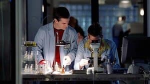 Transferencia de 35.000$