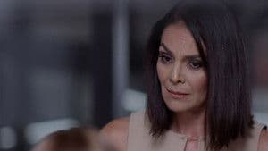 Un error irremediable