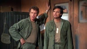 Al mercado, al mercado