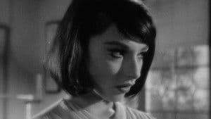 El Zumbido Inquietante