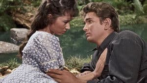 La Franja de Truckee