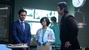 Preguntas y respuestas