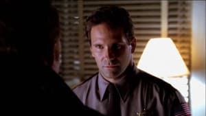 Las apariencias engañan