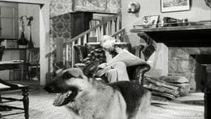 El caso del amante perezoso