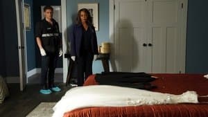 Luna de miel en Las Vegas