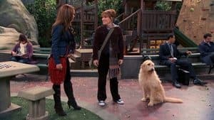 La mujer que susurraba a los niños