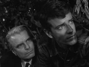 Nacieron en el Condado de Spyder