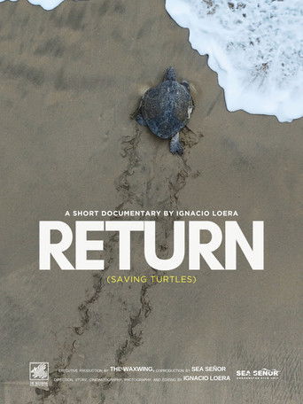 Return: Saving Turtles
