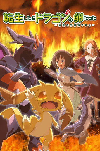 Tensei shitara Dragon no Tamago datta: Saikyou Igai Mezasanee